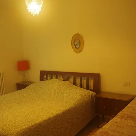 Vite Misano Adriatico