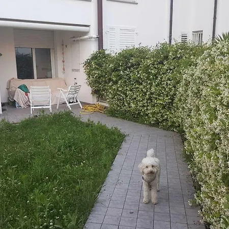 Vite * Misano Adriatico