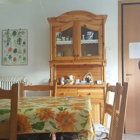 Vite * Misano Adriatico