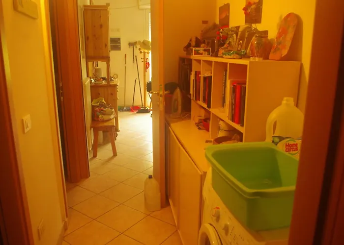 بيت للعطل Vite *