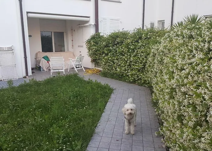 Vite * ميسانو ادرياتيكو