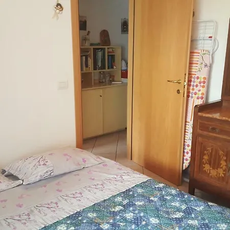 Vite * Misano Adriatico