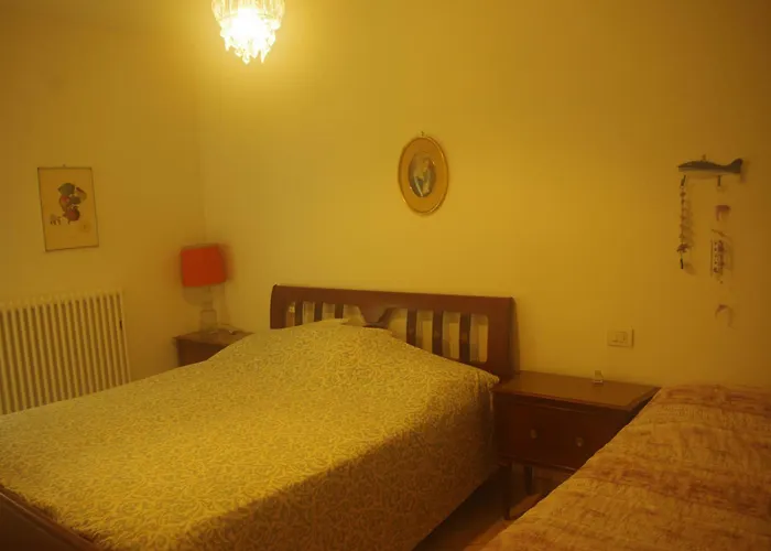 Vite Misano Adriatico