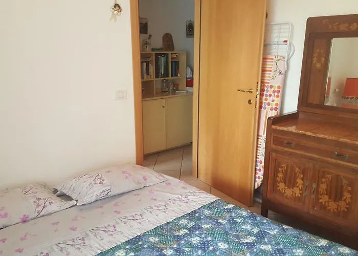 Vite * Misano Adriatico